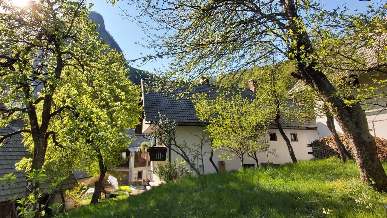 Apartmaji Pekovec Bohinj Extérieur photo